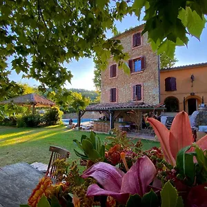  Couette-café Domaine De Sainte Annette France